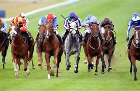 Image result for Free Horse Racing Bets
