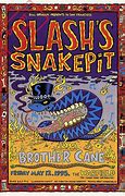 Image result for Slash's Snakepit