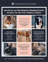 Image result for Kittens and Puppies Pic for a Flyer
