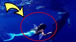 Image result for Mermaids Found Alive
