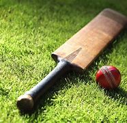 Image result for Cricket Wallpaper Edith