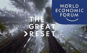 Image result for WEF Great Reset Logo Logo