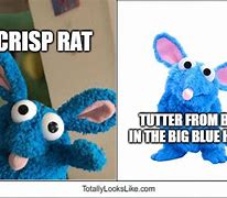Image result for Blue Rat Meme