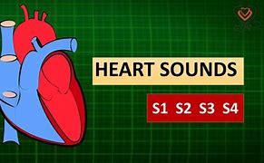 Image result for Ape to Man Heart Sounds