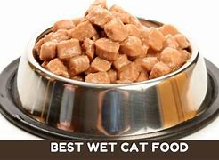 Image result for Wet Cat Food