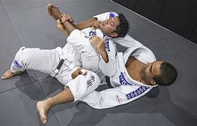 Image result for Jiu Jitsu Grappling