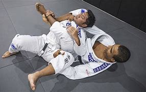 Image result for Brazilian Jiu-Jitsu No GI