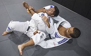 Image result for Brazilian Jiu-Jitsu No GI