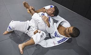 Image result for MMA Brazilian Jiu Jitsu