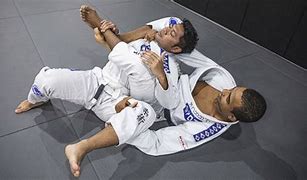 Image result for Brazilian Jujitsu Moves