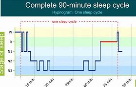 Image result for Sleep and Memory