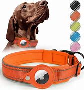 Image result for Dog Collar Air Tag Holder