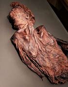 Image result for Irish Bog Mummies
