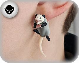 Image result for Possum Earrings