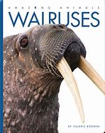 Image result for The Walrus Whisperer Book