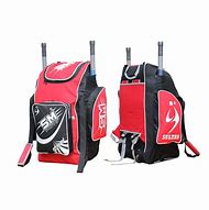 Image result for Professional Cricket Kit Bag