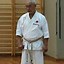 Image result for Hishima Sensei Karate