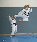 Image result for Face Kick Martial Arts