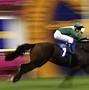 Image result for Jocky Riding/Horse