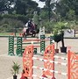 Image result for jumping horses