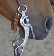 Image result for Types of Horse Bits and Their Uses