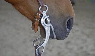 Image result for Horse Bit Types and Uses