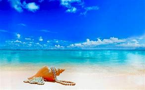 Image result for Beach Wallpaper Android