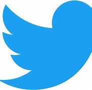 Image result for Twitter Logo X11