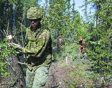 Image result for Future of the Canadian Armed Forces