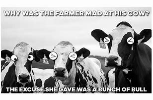 Image result for Baby Cow Meme