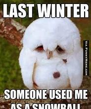 Image result for Early Snow Meme