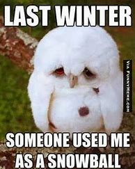 Image result for Winter Is Coming Funny