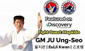 Image result for Hapkido Korean