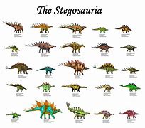 Image result for All Dinosaurs
