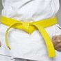 Image result for Karate Belt Progression