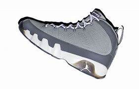 Image result for Cool Grey 5S