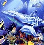 Image result for Underwater Dolphin Wallpaper