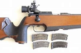 Image result for Anschutz Biathlon Rifle