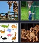 Image result for Zoo