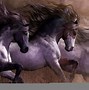 Image result for 8K Black Horse Wallpaper