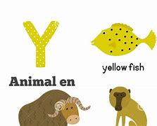 Image result for Animal Con Y