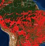 Image result for Deforestation for Agriculture