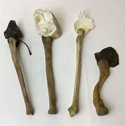 Image result for Stone Tools