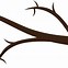 Image result for Tree Cartoon Vector Images