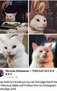 Image result for Meme Cat Names