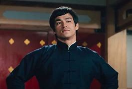 Image result for Kung Fu Styles