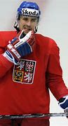 Image result for Tomáš Plekanec