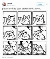 Image result for Hilarious Cat Memes