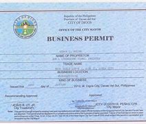 Image result for Business License Example Fillable