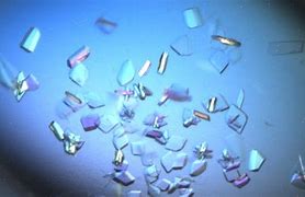 Image result for protein crystals
